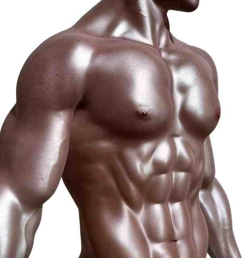 Comment répartir ses repas musculation ?