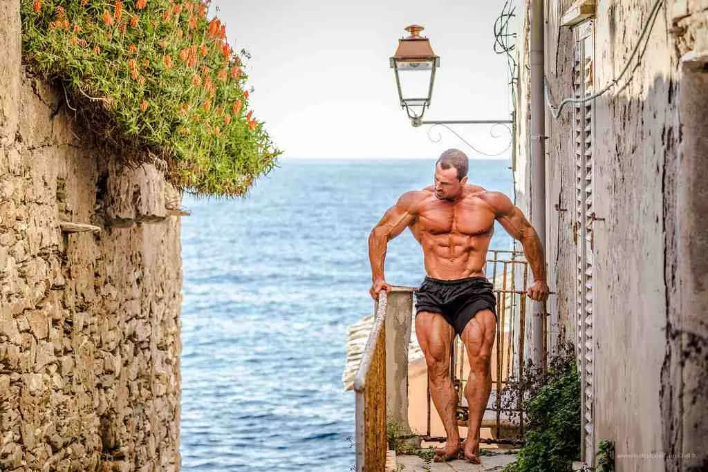Nutrition musculation