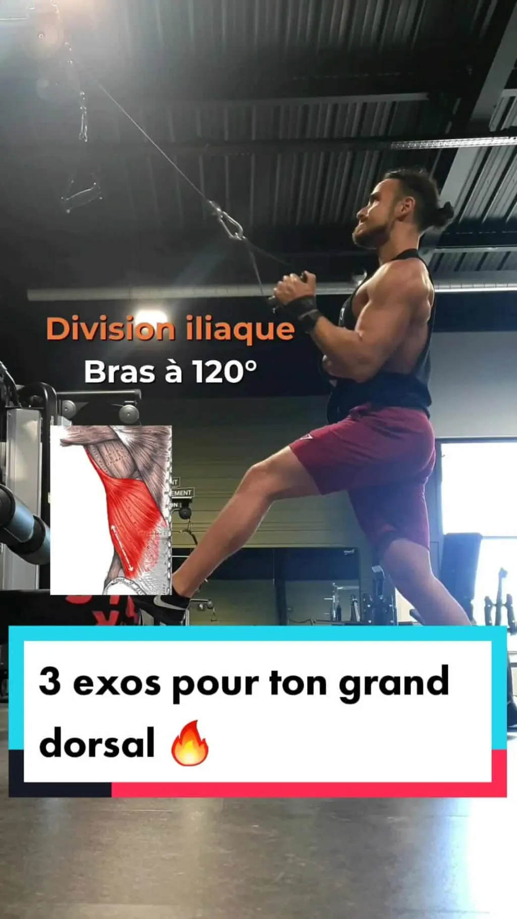 @roy.trainer 3 angles pour cibler ton grand dorsal #pourtoi
