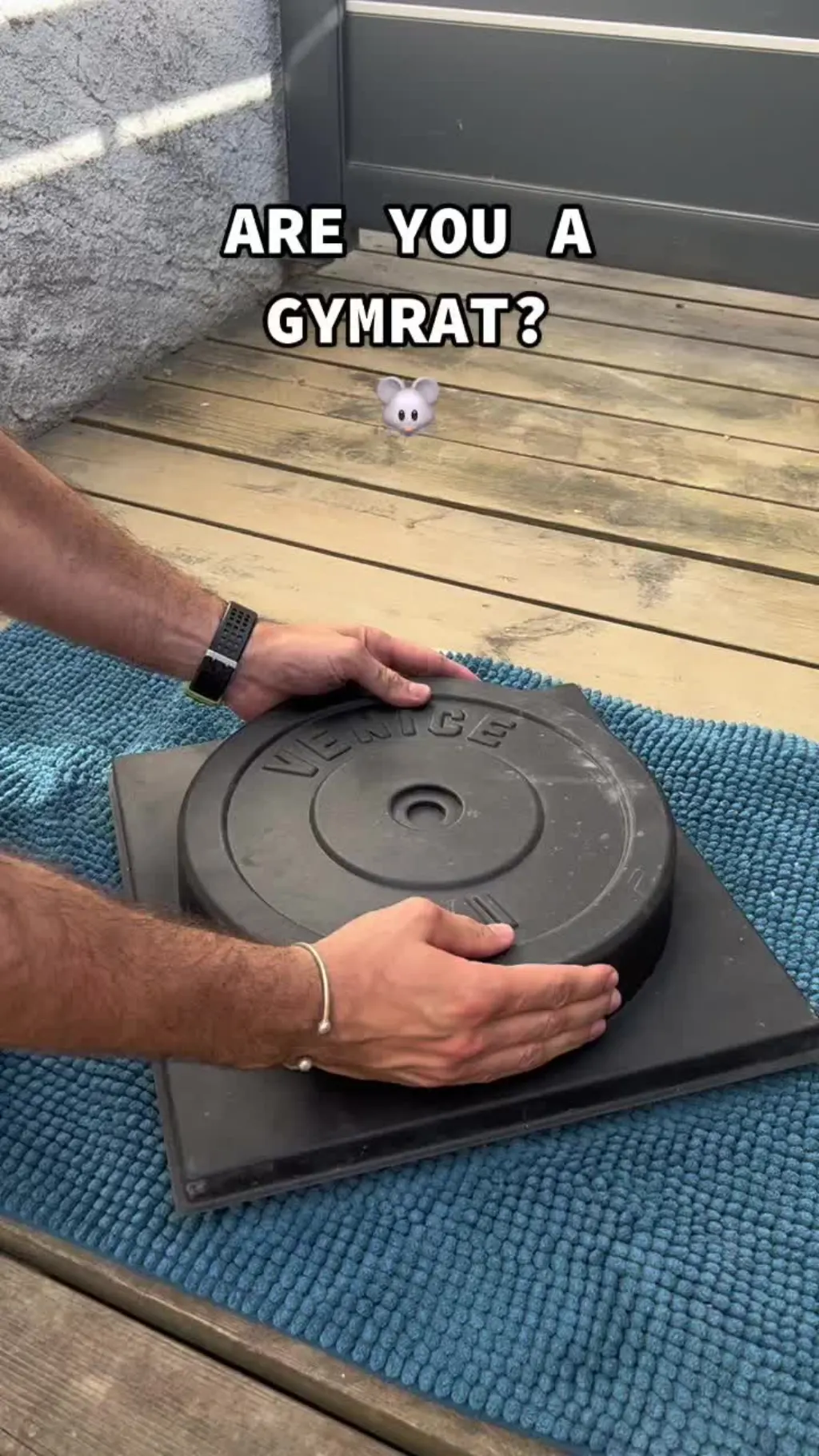 @veniceweights Are you a gymrat ? #veniceweights #homegym #gymrats