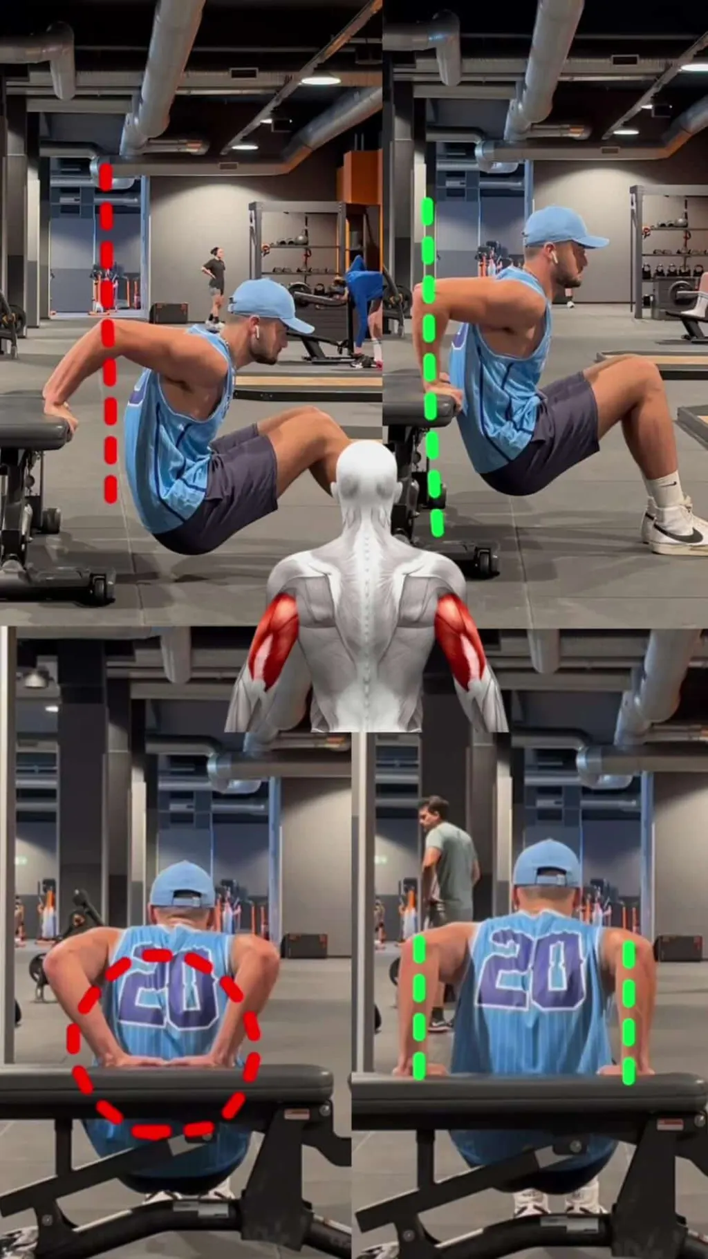 @douglass_fitness DIPS DÉBUTANT • • • • • • • #dips #triceps