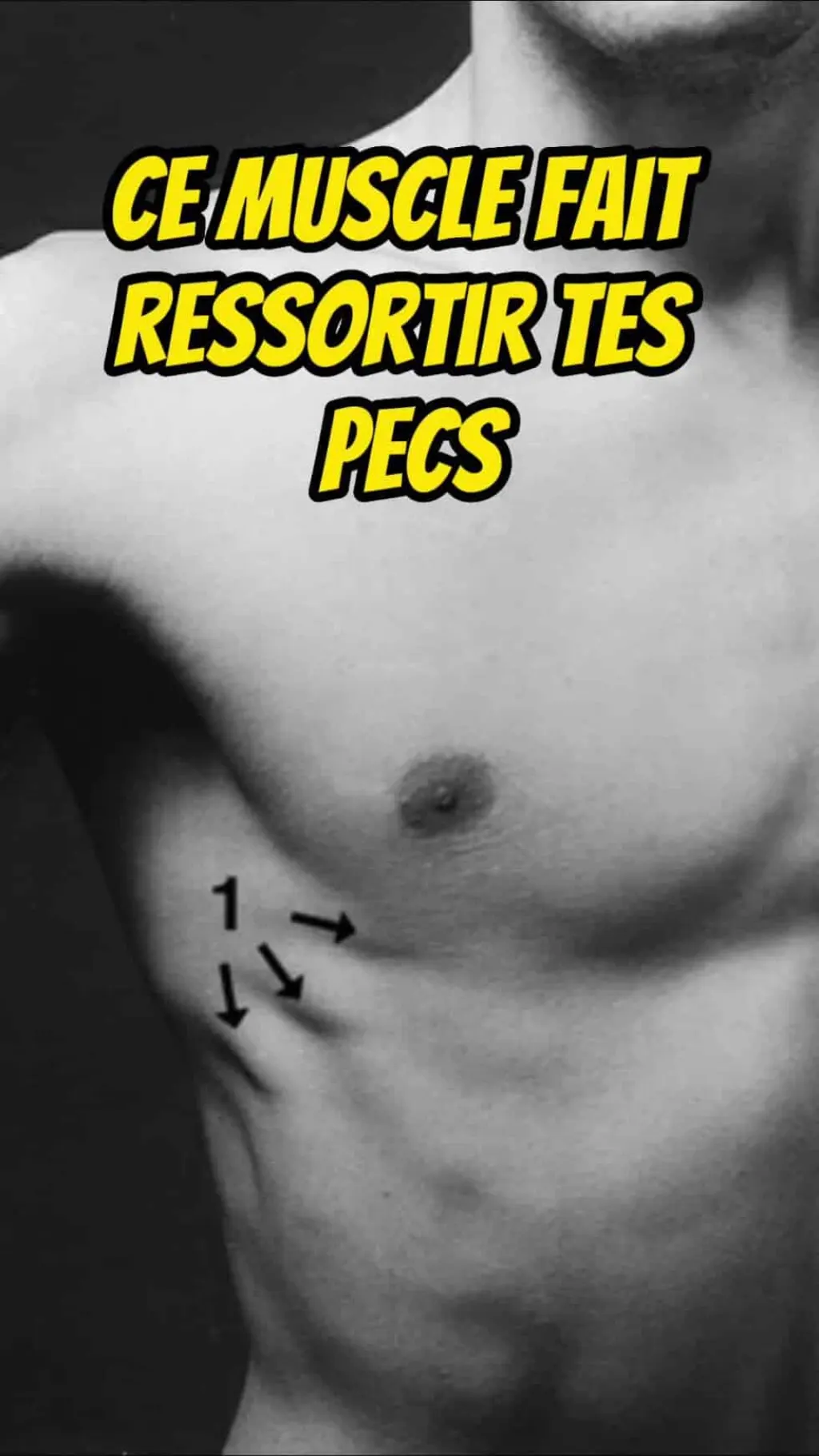 @kineformationcarre Ce muscle fait ressortir tes pecs ! #pecs