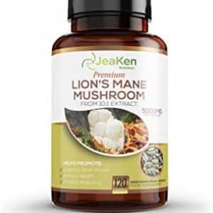 LIONS MANE HERICIUM ERINACEUS - Crinière de Lion Concentration 10X