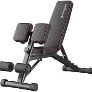 LIWA Chaise Romaine Banc De Musculation Réglable Exerciseur Abdominal