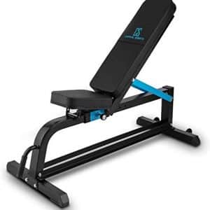 CAPITAL SPORTS Adjustar Banc de Musculation modulable (pour