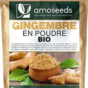 Gingembre en Poudre Bio 250G | Antioxydant, Articulations, Immunité |