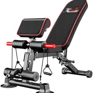 LIWA Chaise Romaine Banc De Musculation Réglable Tabouret Romain